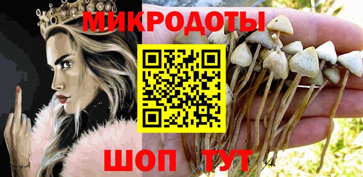 наркошоп  Вход с VPN  Свободный  Псилоцибиновые грибы Psilocybe  Псилоцибиновые грибы Cubensis 